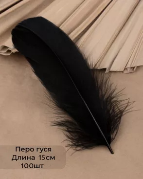 Перо гуся дл.15см 100шт арт. ППР-22-1-49132.001 Перо гуся дл.15см 100шт арт. ППР-22-1-49132.001