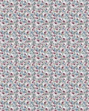 Середа (Ситец сорочечный) арт. СС-89-1-Б00659.003 Середа (Ситец сорочечный) арт. СС-89-1-Б00659.003