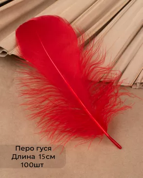 Перо гуся дл.15см 100шт арт. ППР-22-3-49132.003 Перо гуся дл.15см 100шт арт. ППР-22-3-49132.003