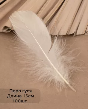 Перо гуся дл.15см 100шт арт. ППР-22-5-49132.005 Перо гуся дл.15см 100шт арт. ППР-22-5-49132.005
