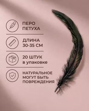 Перо петуха натуральное дл.30-35см уп.20шт Стартекс арт. ППР-23-1-49131.001
