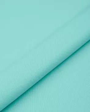 Футер 2-нитка 30/30, 250гр/м.кв. арт. ТФД-11-60-23879.060