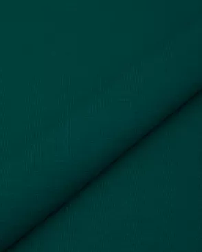 Футер 2-нитка 30/30, 250гр/м.кв. арт. ТФД-11-48-23879.048