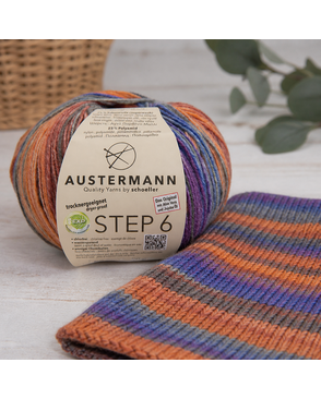 Пряжа Step 6 Irish Rainbow Colours, 75% шерсть, 25% полиамид, 410 м, 150 г арт. ГЕЛ-29162-1-ГЕЛ0095658