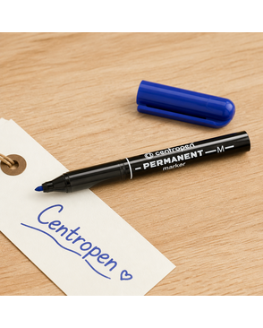"Centropen" Маркер PERMANENT 2846/1 1мм 10 шт. арт. ГММ-114002-1-ГММ102572588314