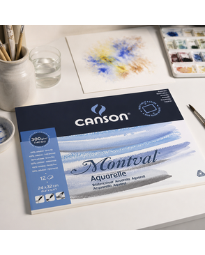"Canson" Альбом для акварели 300 г/м2 24 х 32 см склейка с четырех сторон 12 л. арт. ГММ-117830-1-ГММ124959339604