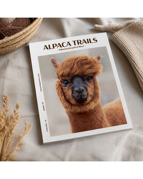 Журнал "PUNTO 76 ALPACA"RUS арт. ГЕЛ-36026-1-ГЕЛ0197744