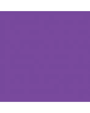 "VISTA-ARTISTA" Бумага цветная MFO-AA 300 г/м2 50 х 70 см 25 шт. арт. ГММ-119238-10-ГММ112535009434