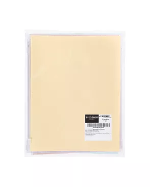 "Expert Complete" Trend Pastel Папка-конверт на ZIP-молнии A5+ 180 мкм диагональ 10 шт. арт. ГММ-118350-6-ГММ133840057744