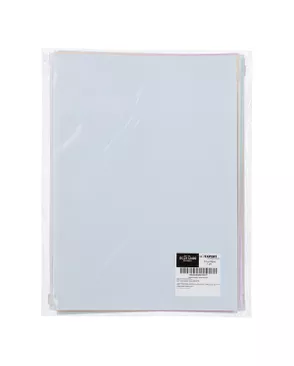 "Expert Complete" Trend Pastel Папка-конверт на ZIP-молнии A4 180 мкм диагональ 10 шт. арт. ГММ-118349-6-ГММ133840133754