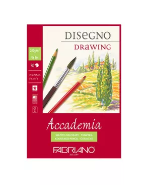 "Fabriano" Альбом Скетчбук "Accademia" 200 г/м2 A4 21 х 29.7 см арт. ГММ-118139-1-ГММ133893390294