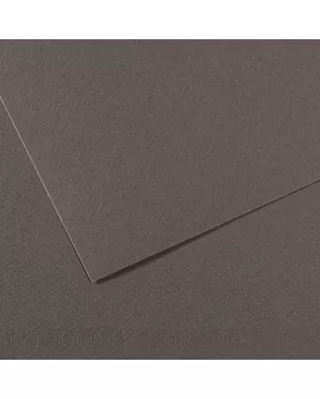 "Canson" Бумага для пастели Mi-Teintes 160 г/м2 75 х 110 см лист 10 л. арт. ГММ-118474-27-ГММ139763619984