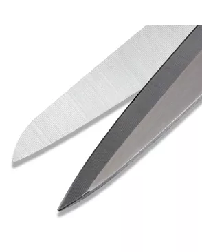Ножницы "PRYM" 611520 "Professional" с микрозубчиками для шитья 1 шт 250 мм арт. ГММ-114352-1-ГММ114423046574