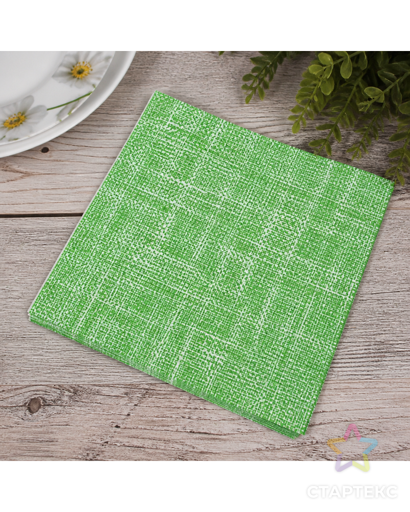 Салфетки трехслойные для декупажа, коллекция "Lunch" PAW Decor Collection "Зеленое полотно" арт. ГЕЛ-9811-1-ГЕЛ0137157 - рис. 3